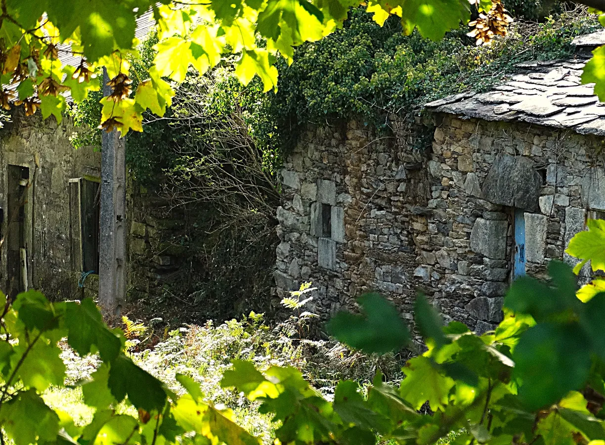 Germán Asesoría Técnica Inmobiliaria